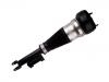 амортизатор Shock Absorber:222 320 47 13