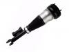 амортизатор Shock Absorber:222 320 48 13